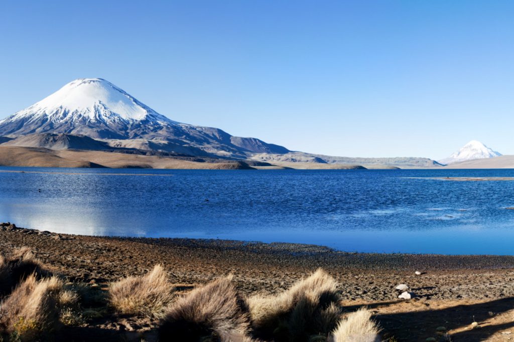Lauca