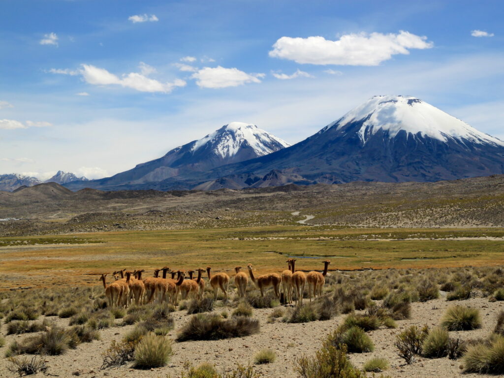 CHI_LaucaNationalPark_ShutterStock (3)