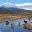 Lauca