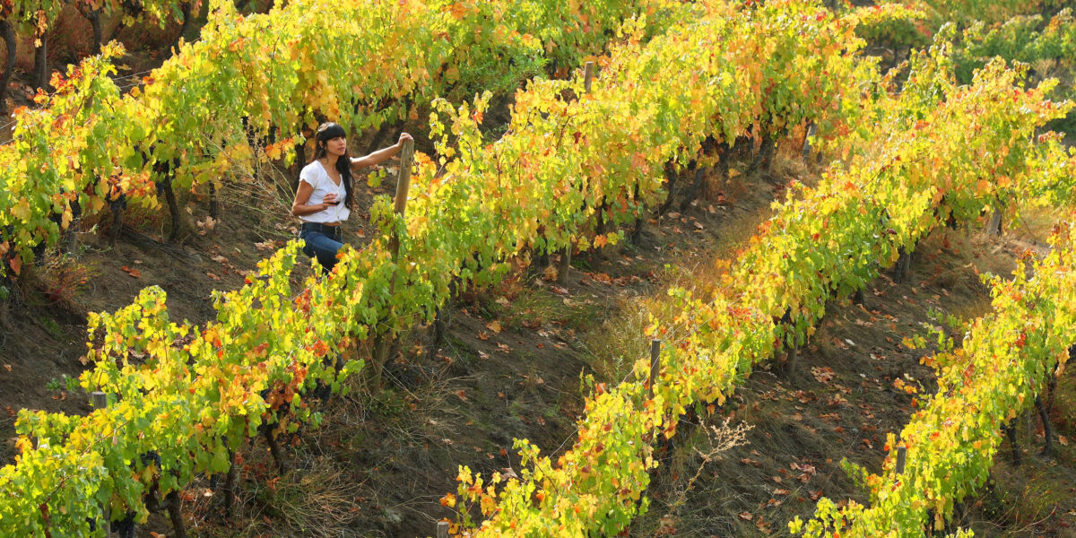 Turismo Chile ©