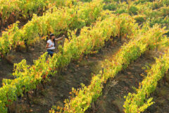Turismo Chile ©