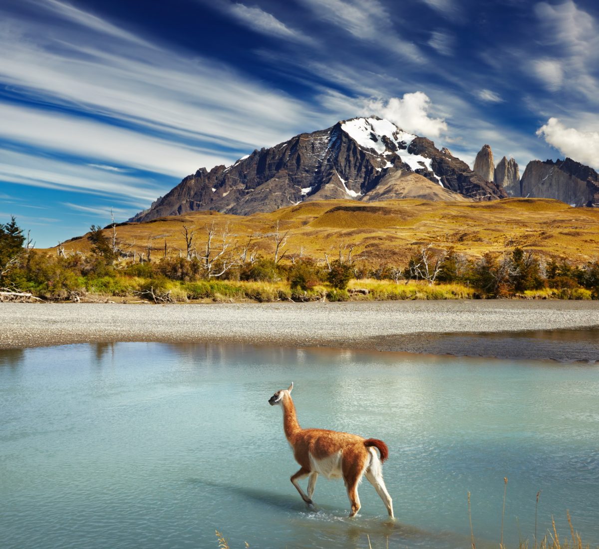 Torres del Paine