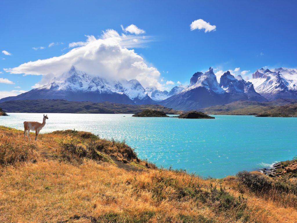 Torres del Paine