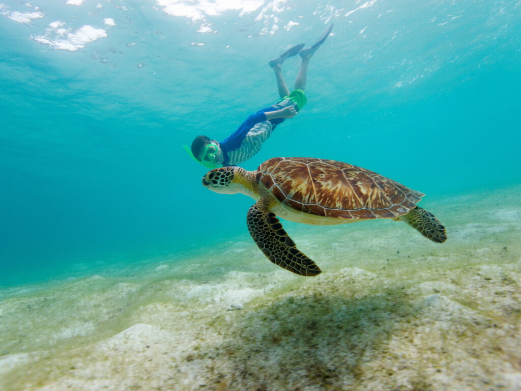 Snorkelling Colombia