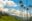 ShutterStock © Cocora Valley