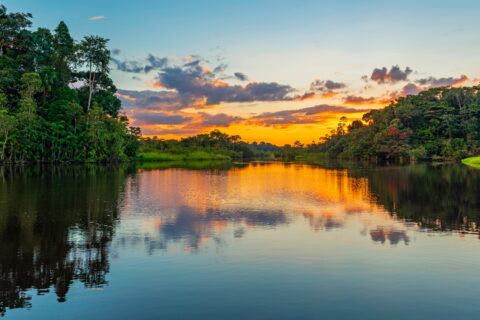 Sunset in the Amazon