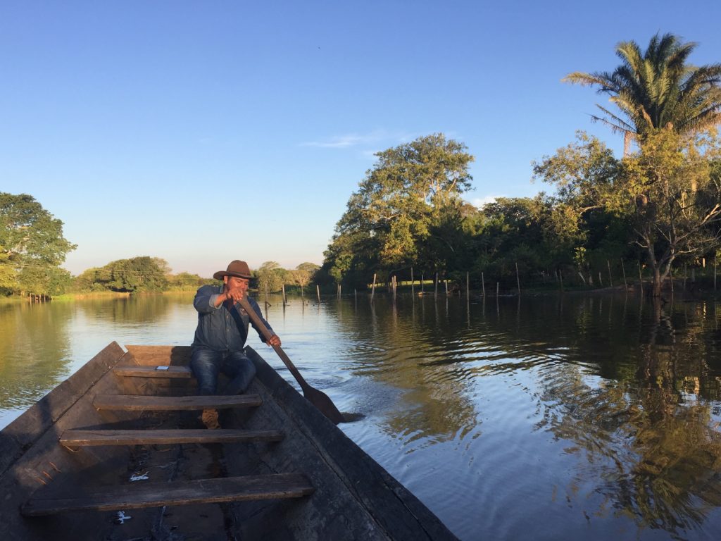 Colombian Llanos