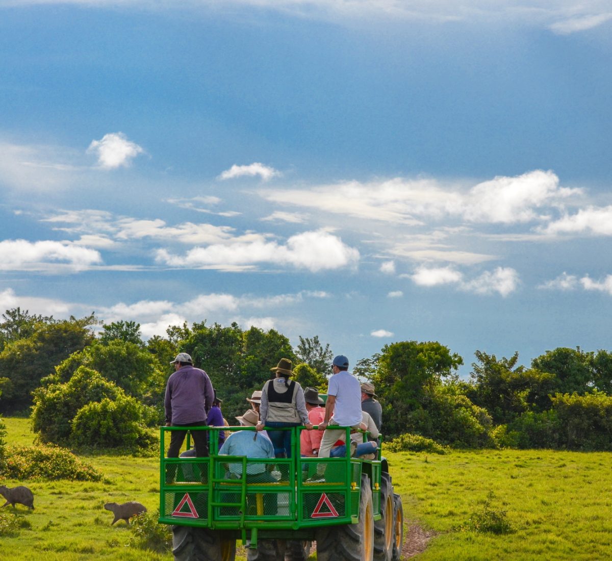 Llanos
