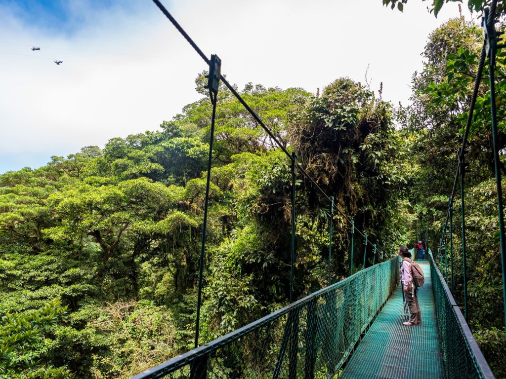 Arenal hanging bridges