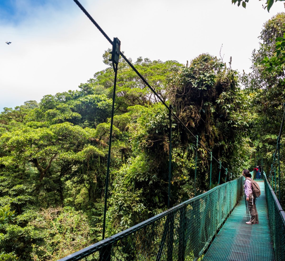 Arenal hanging bridges