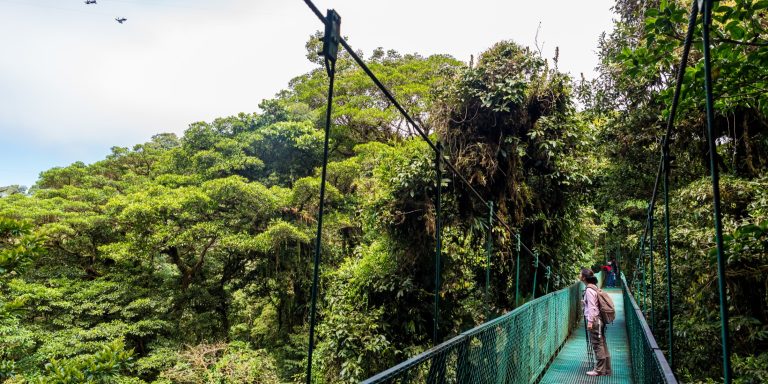 Arenal hanging bridges