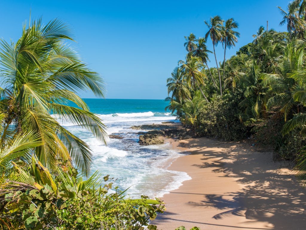 Caribbean beach