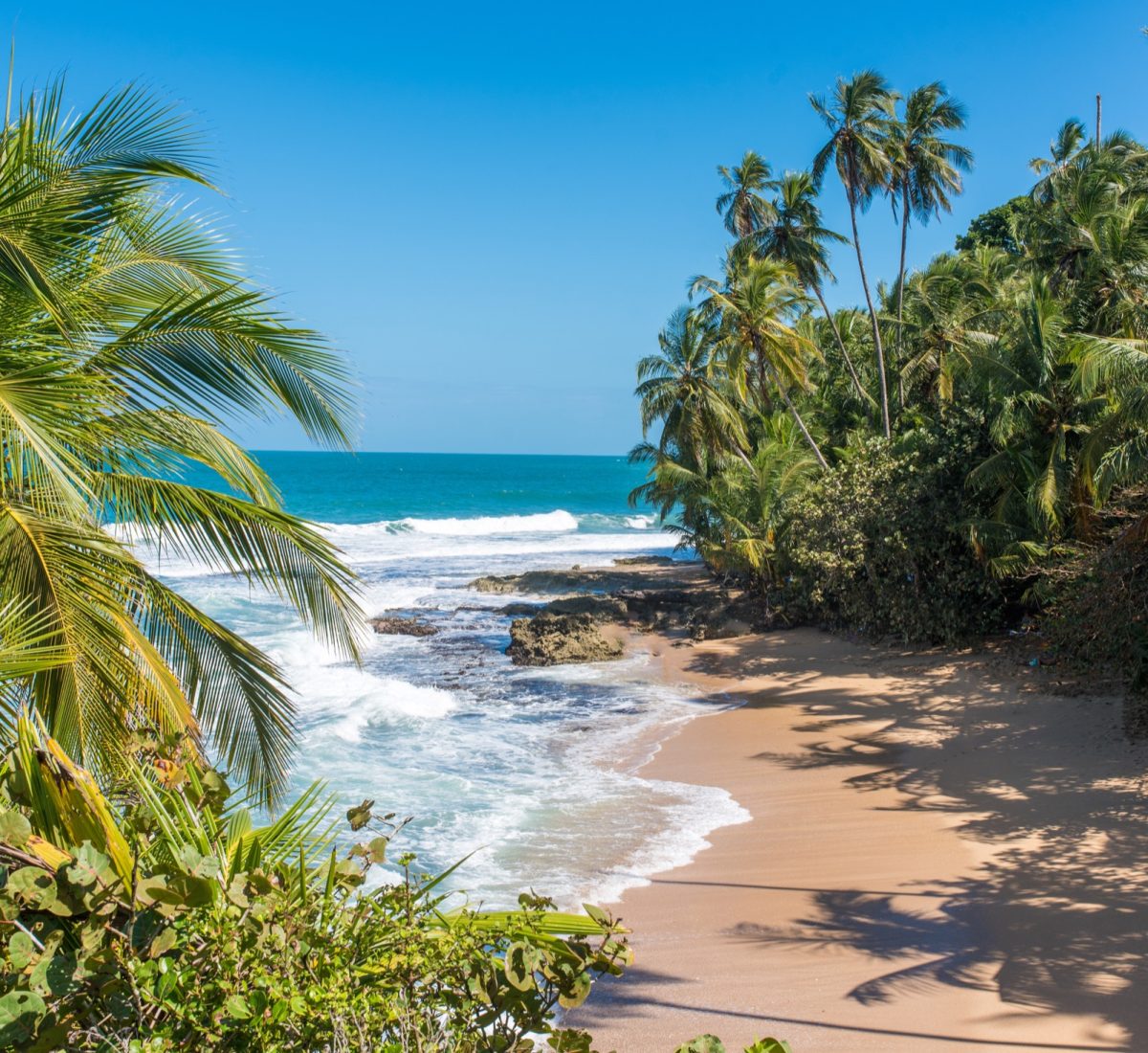 Caribbean beach