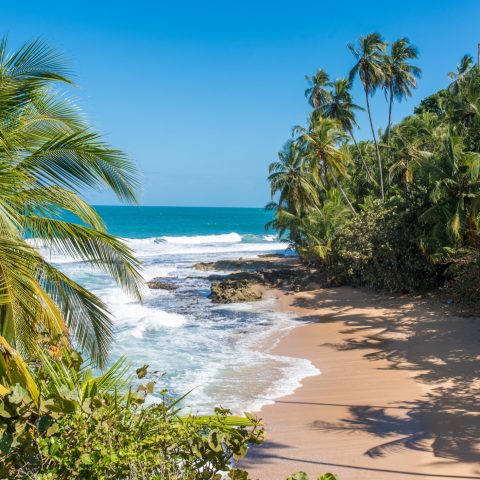 Caribbean beach