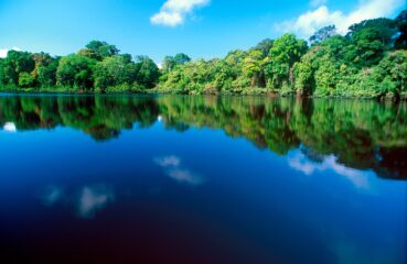 Tortuguero