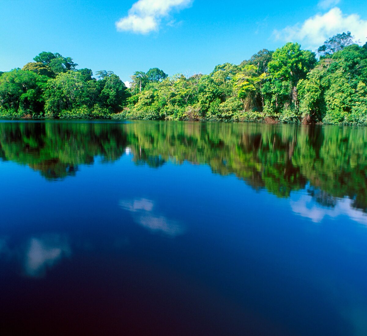Tortuguero