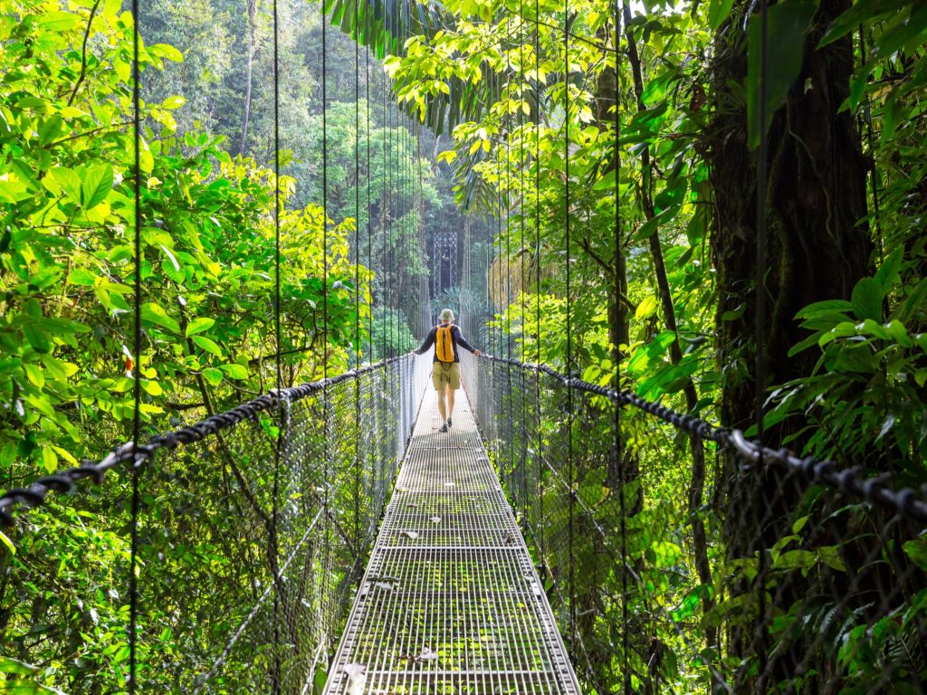 Person walking along a hanging bridge in the jungle