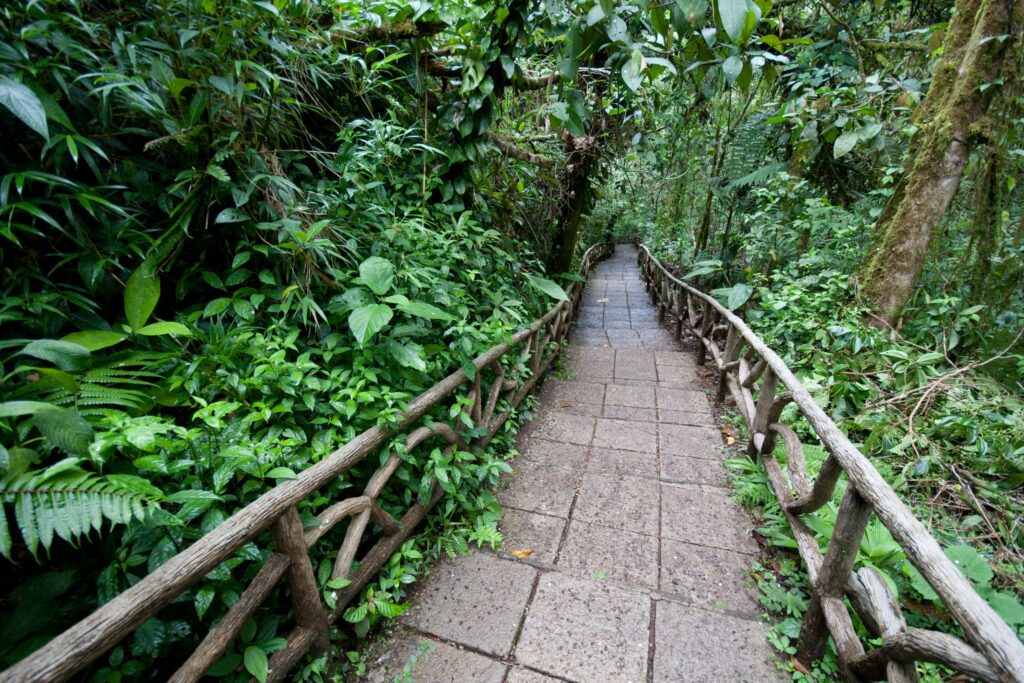 Bosque de Paz