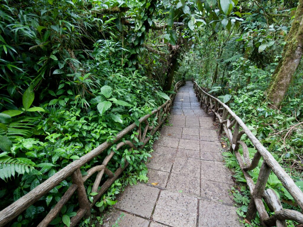 Bosque de Paz