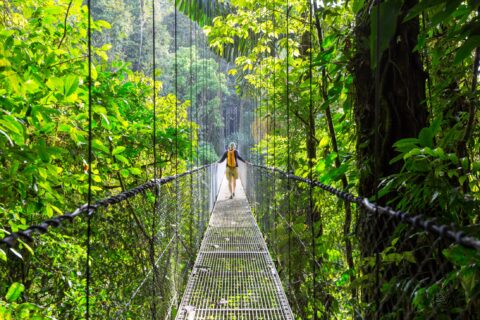 Monteverde Cloud Forest