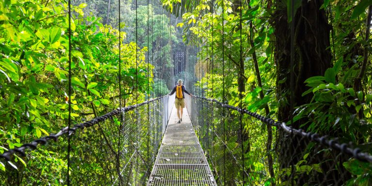 Person walking along a hanging bridge in the jungle