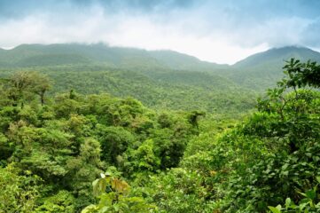 Monteverde cloud forest