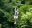 ShutterStock © zip lining