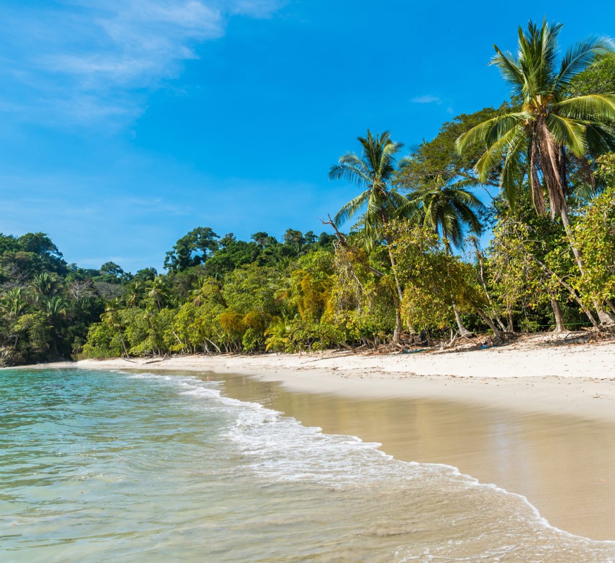 COS_ManuelAntonio_Shutterstock_478976491
