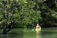 Kayak