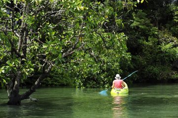 Kayak
