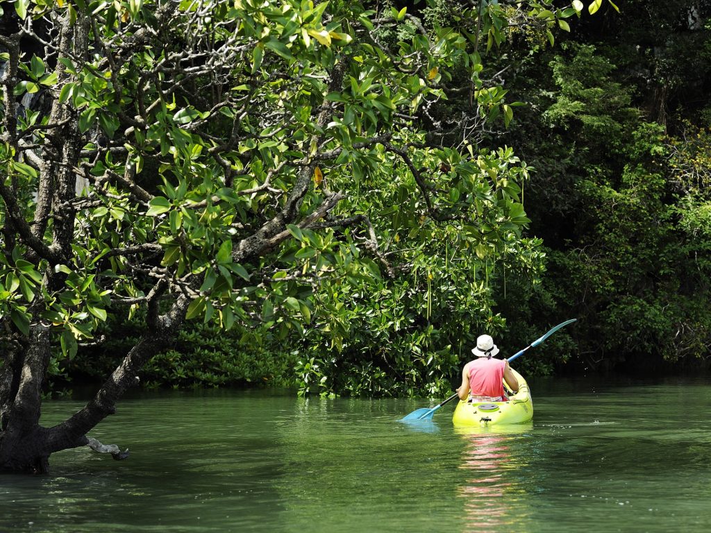 Kayak