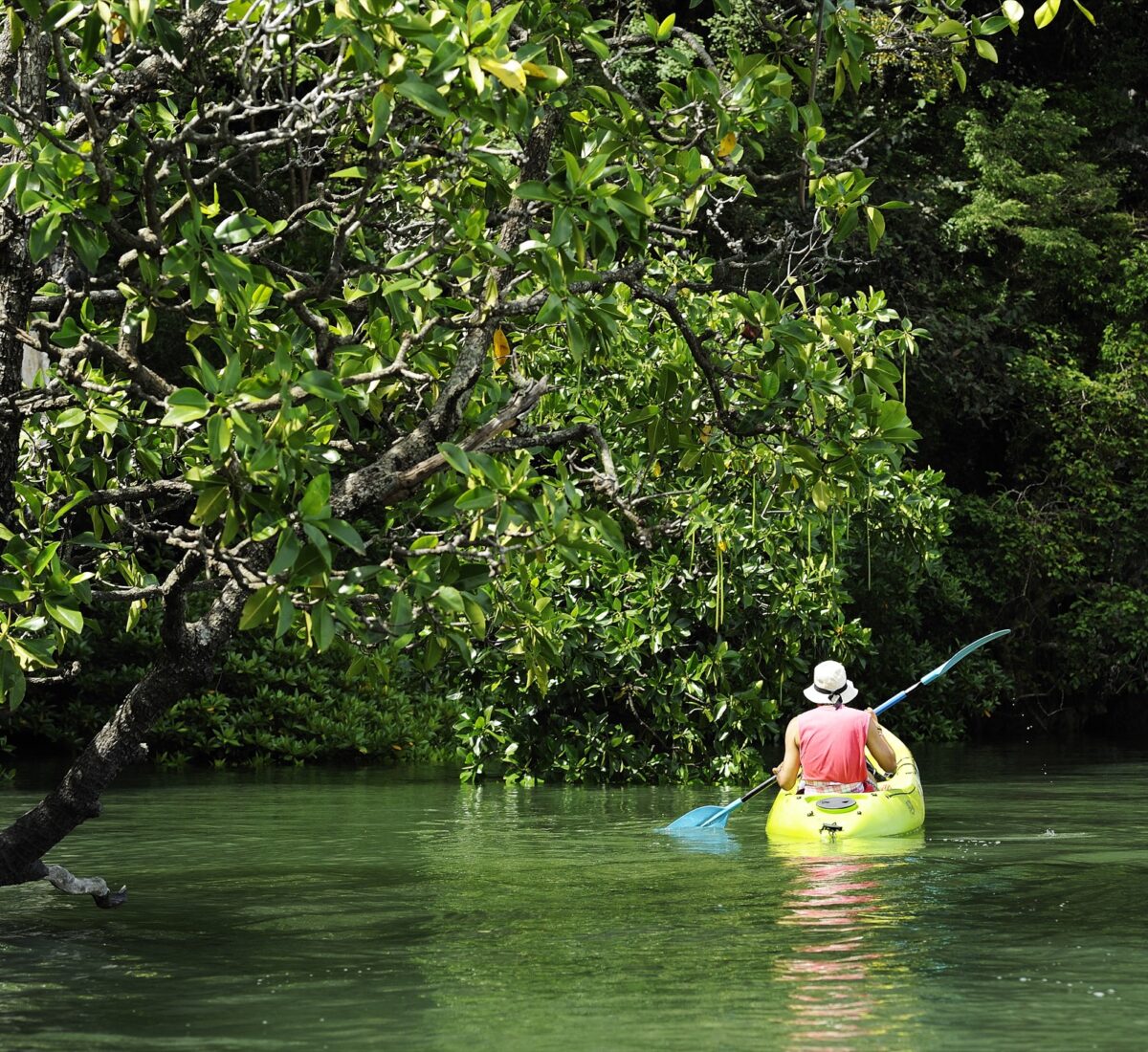 Kayak