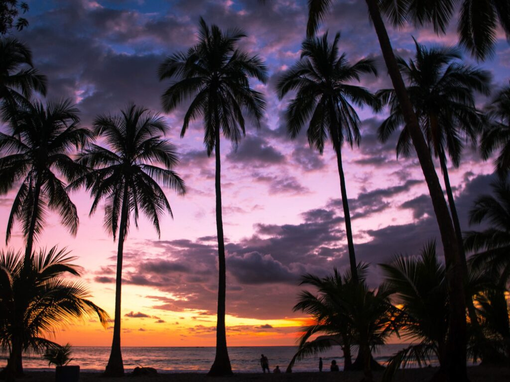 Uvita