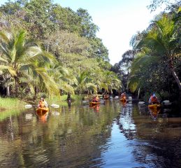 Kayaking