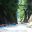 Pacuare River