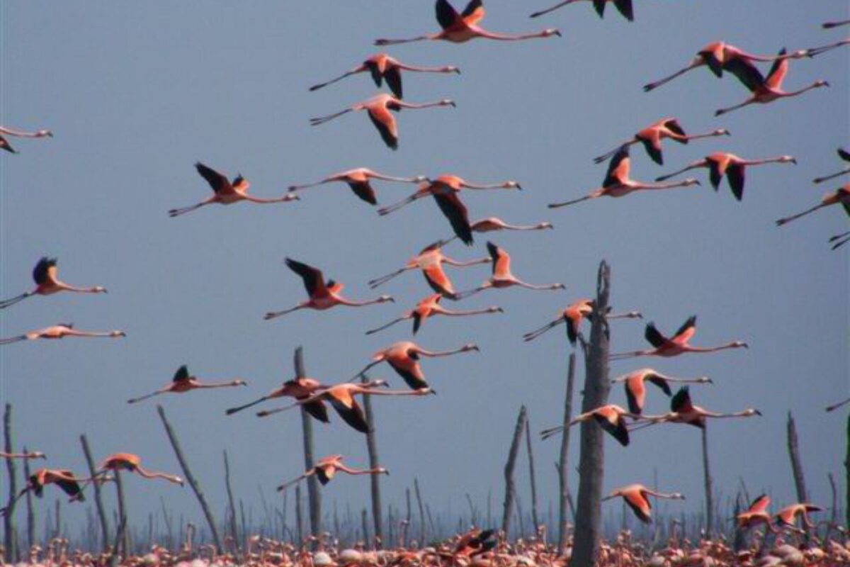 Camaguey - Places to visit - Cuba - Journey Latin America