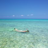 Snorkelling