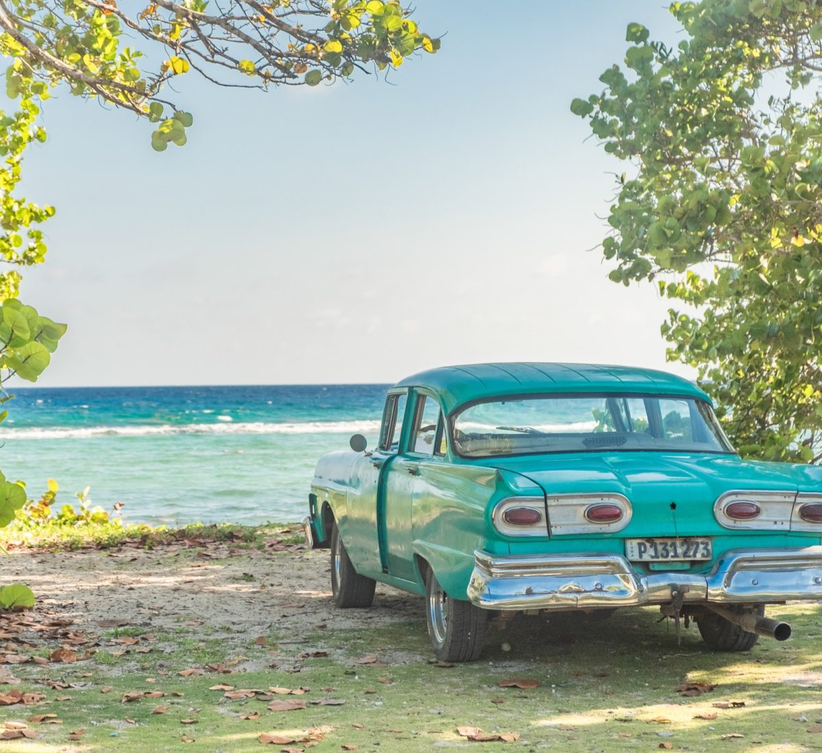 Bay of Pigs