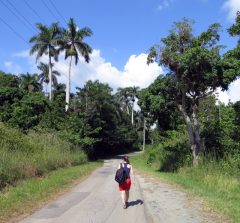 CUB_LasTerrazas_shutterstock_1748673809 Walking in Las Terrazas Cuba