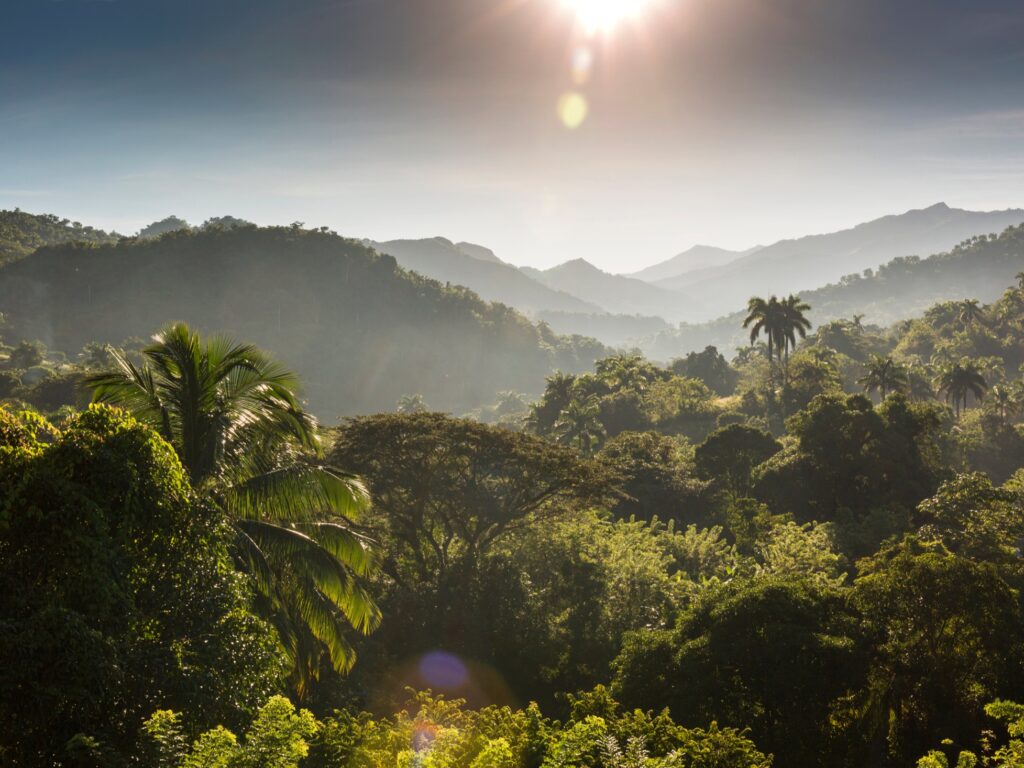 Sierra Maestra
