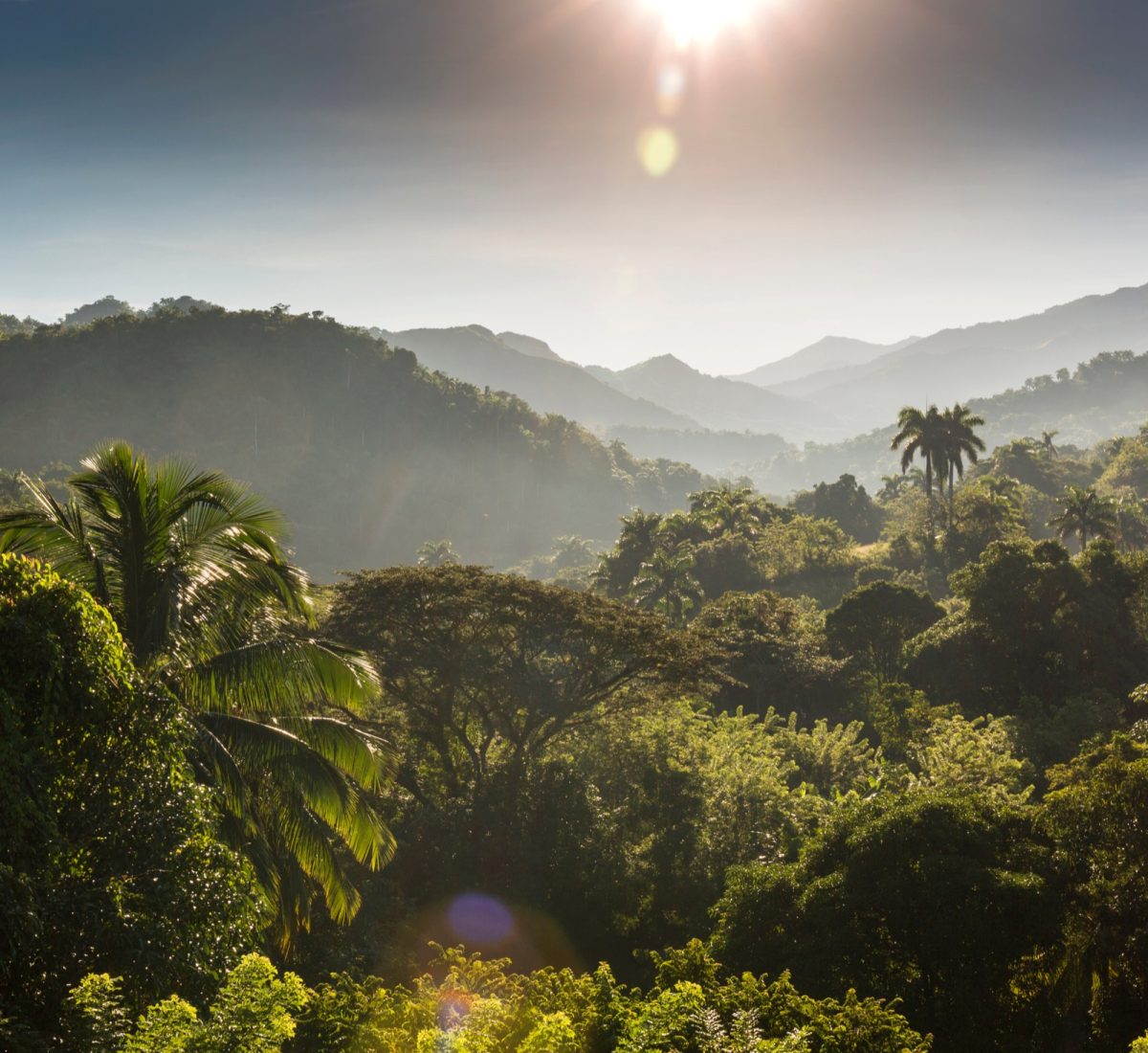 Sierra Maestra