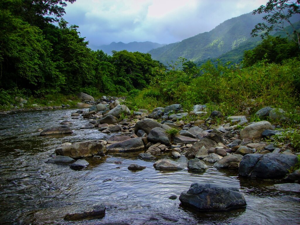 Sierra Maestra