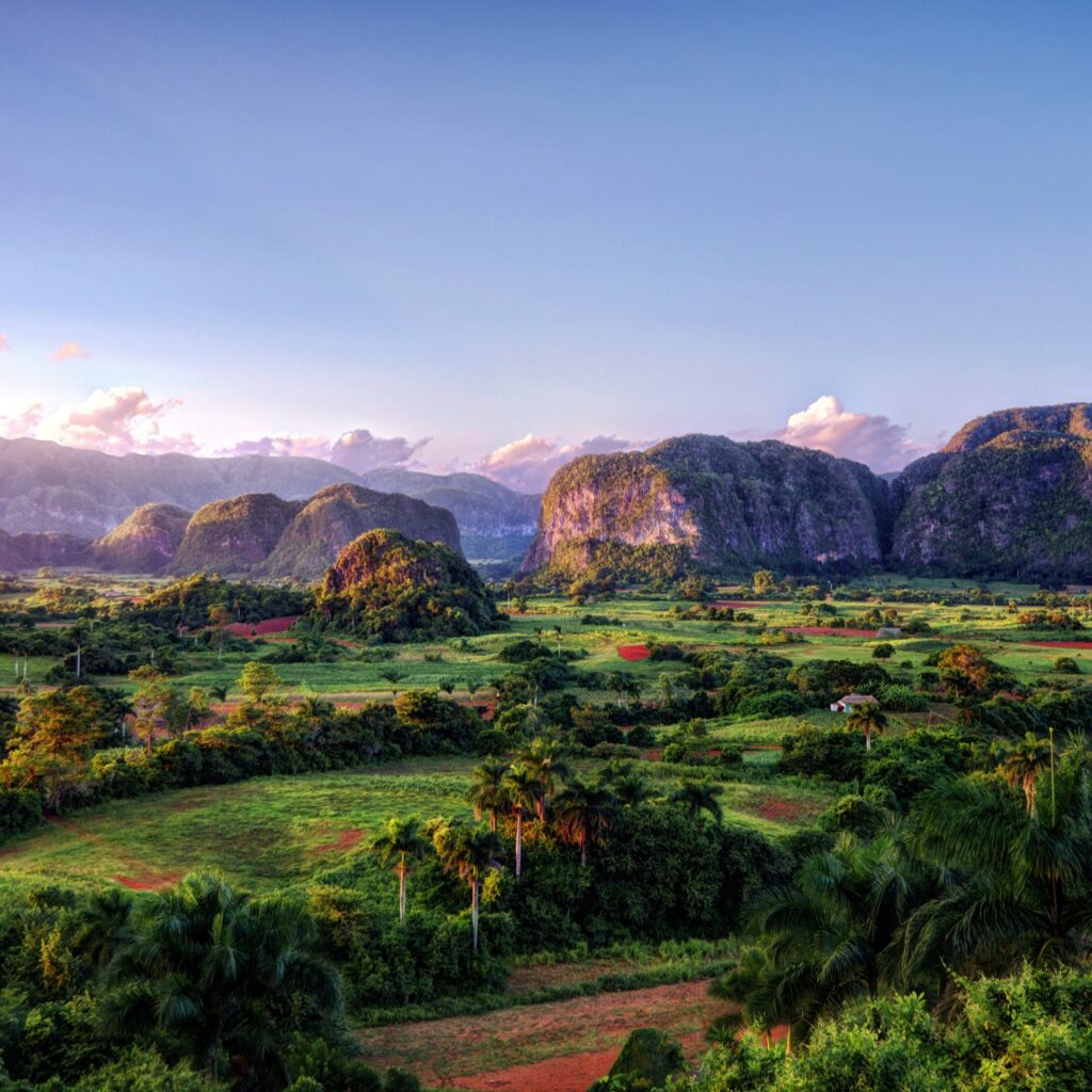 Vinales