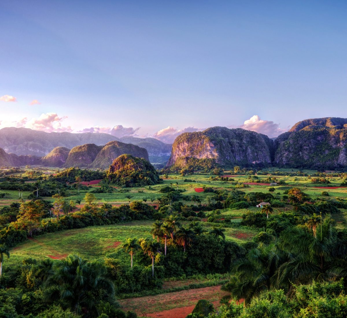Vinales
