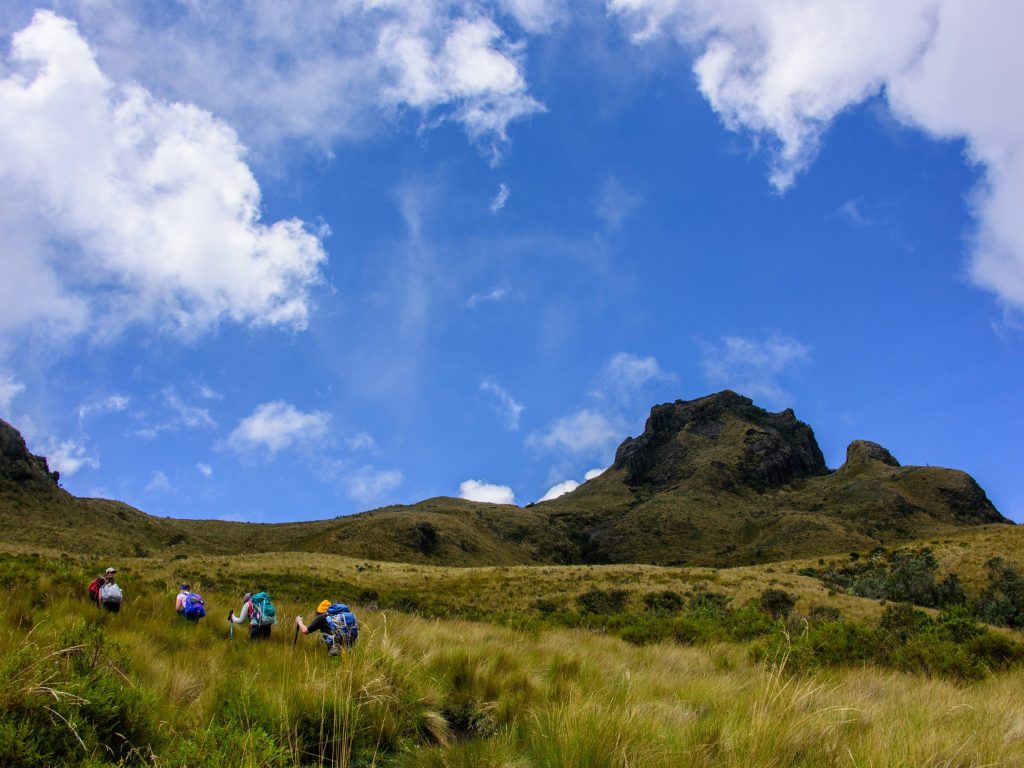 Avenue of the Volcano