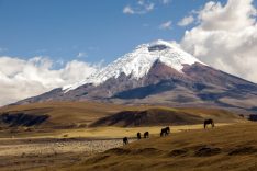 Cotopaxi