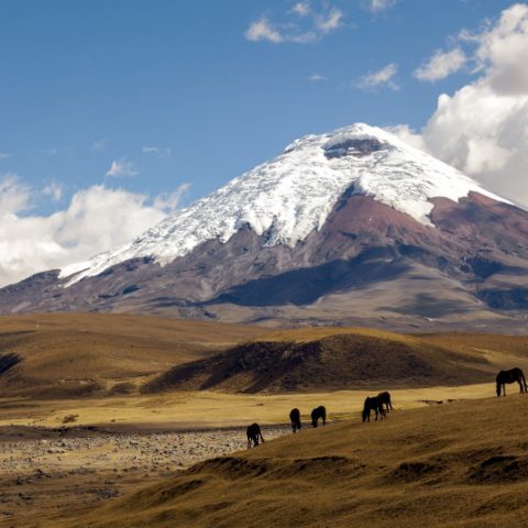 ECU_Cotopaxi_Shutterstock_240040738 Cotopaxi