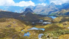 ECU_CajasNationalPark_Shutterstock_1461479501 Cajas National Park