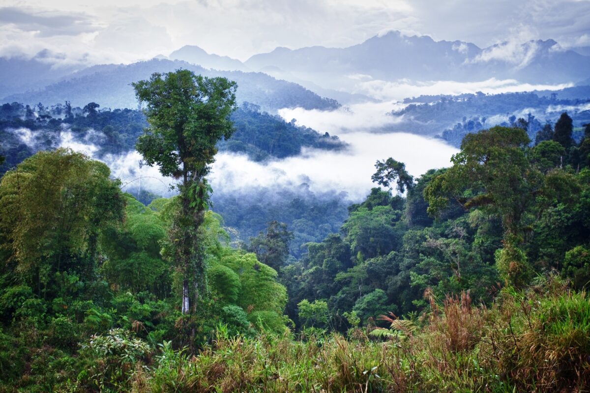 Mindo Cloud Forest Holidays And Tours Ecuador Journey Latin America Mindo Cloud Forest Holidays And Tours Ecuador Journey Latin America