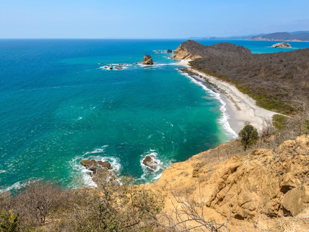 Pacific Coast